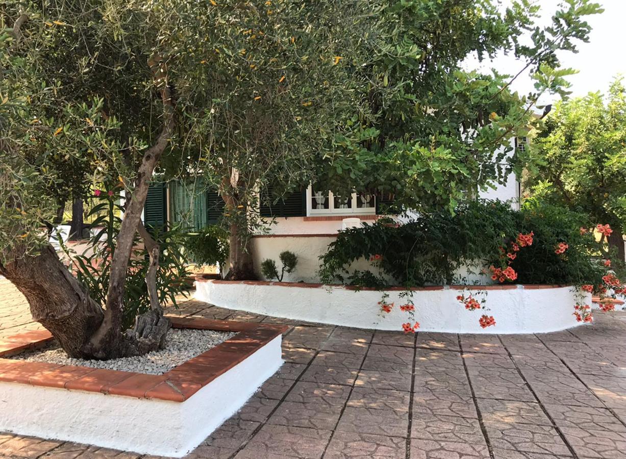 Villa Il Carrubo - Basilicata Pisticci Exterior photo