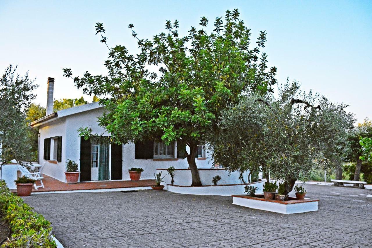 Villa Il Carrubo - Basilicata Pisticci Exterior photo